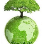 5-mituri-despre-o-viata-eco-150x150.jpg